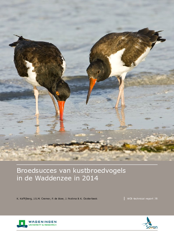 Omslag Broedsucces van kustbroedvogels in de Waddenzee in 2014