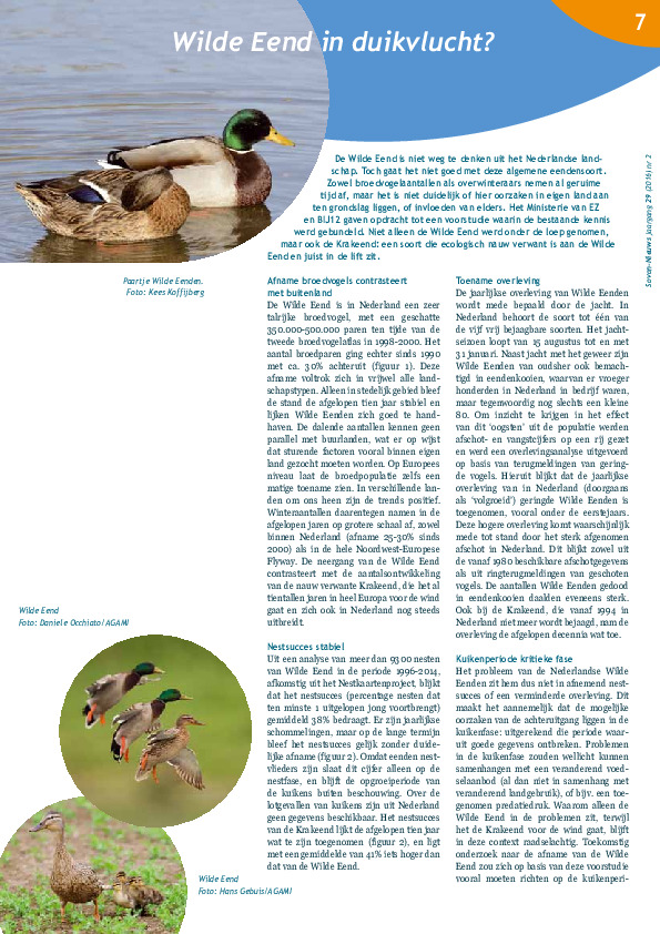 Omslag Wilde Eend in duikvlucht