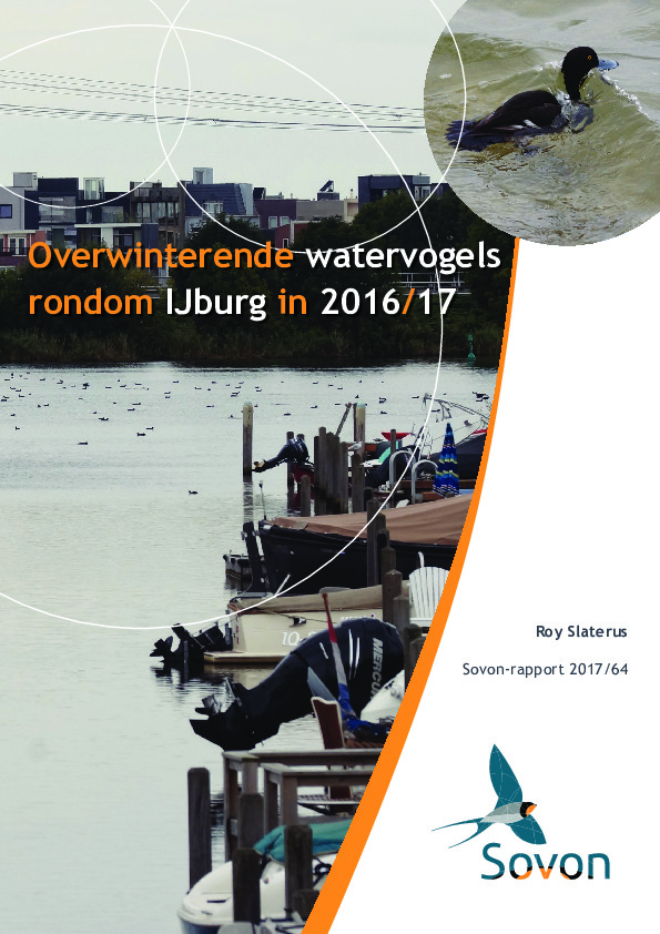 Omslag Overwinterende watervogels rondom IJburg in 2016/17