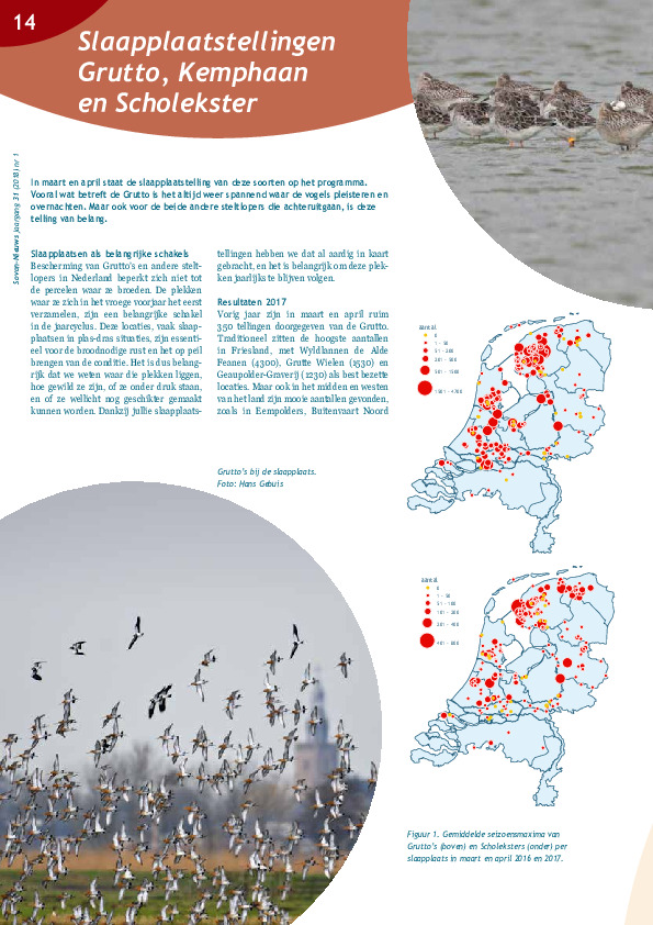Omslag Slaapplaatstellingen Grutto, Kemphaan en Scholekster