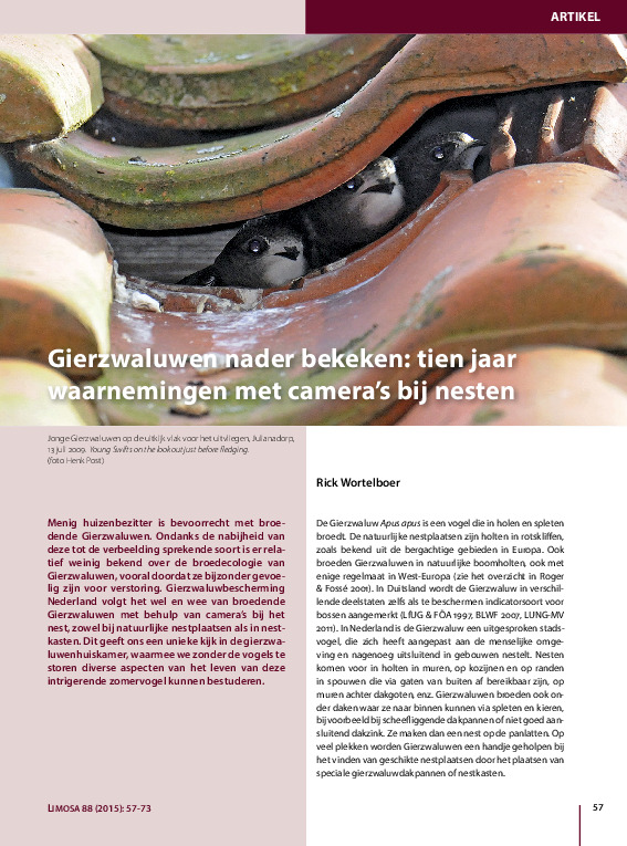 Omslag Gierzwaluwen nader bekeken: tien jaar waarnemingen met camera's bij nesten