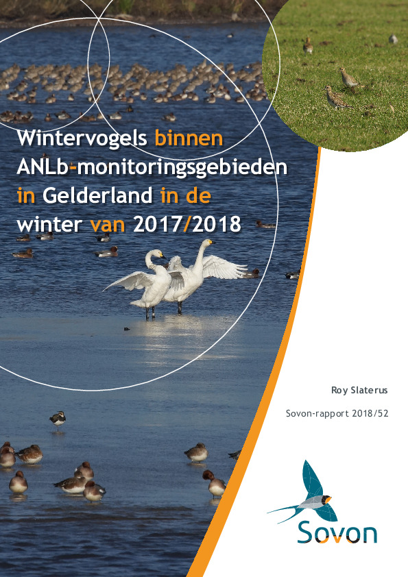 Omslag Wintervogels binnen ANLb-monitoringsgebieden in Gelderland in de winter van 2017/2018