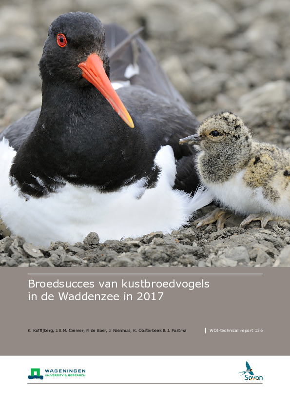 Omslag Broedsucces van kustbroedvogels in de Waddenzee in 2017