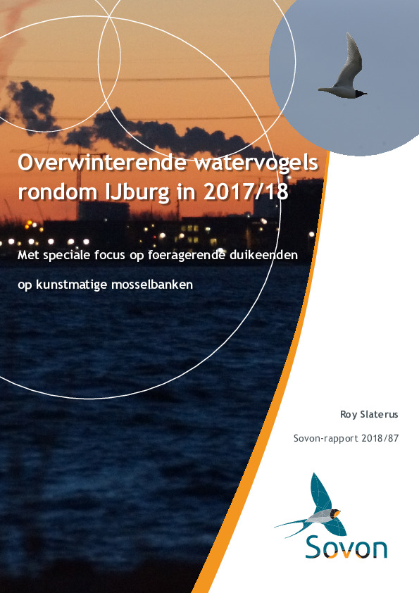 Omslag Overwinterende watervogels rondom IJburg in 2017/18