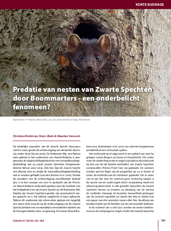 Omslag Predatie van nesten door Boommarter