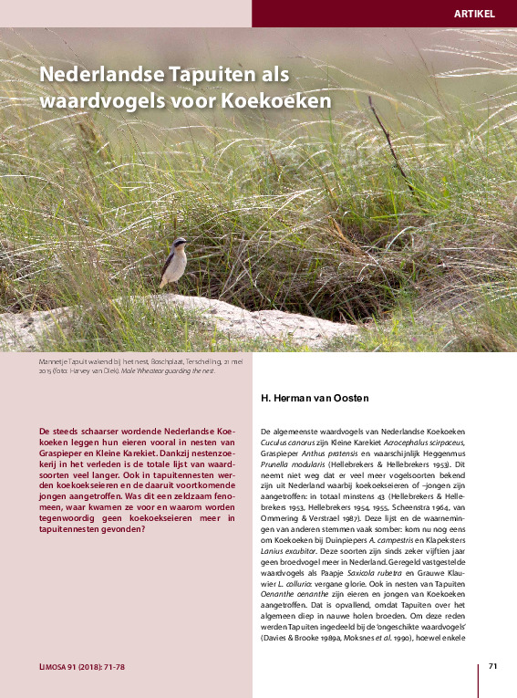 Omslag Nederlandse Tapuiten als waardvogel voor Koekoek