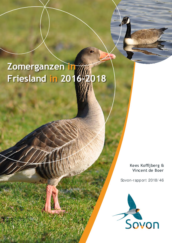 Omslag Zomerganzen in Friesland in 2016-2018
