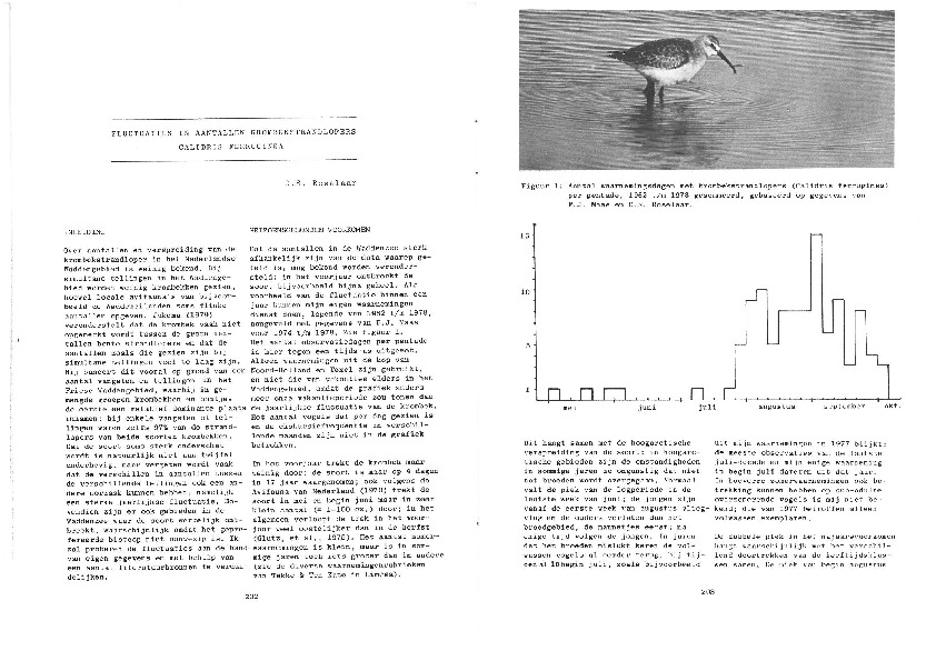 Omslag Fluctuaties in aantallen krombekstrandlopers (C.S. Roselaar 1979)