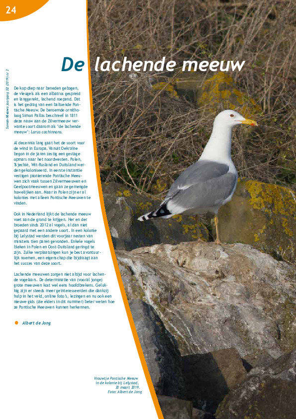 Omslag De lachende meeuw