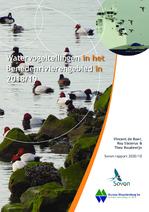 Omslag Watervogeltellingen in het Benedenrivierengebied in 2018/19