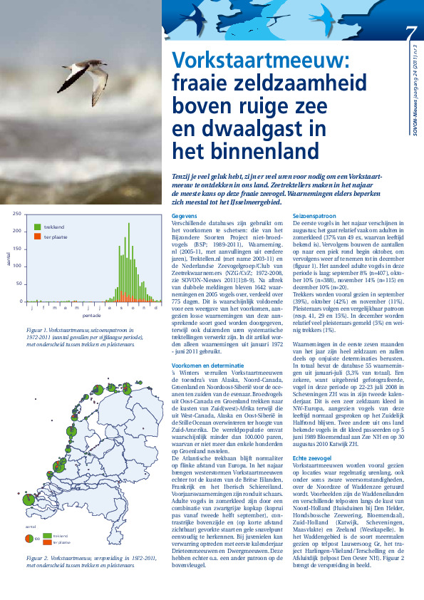 Omslag Vorkstaartmeeuw: fraaie zeldzaamheid boven ruige zee en dwaalgast in het binnenland