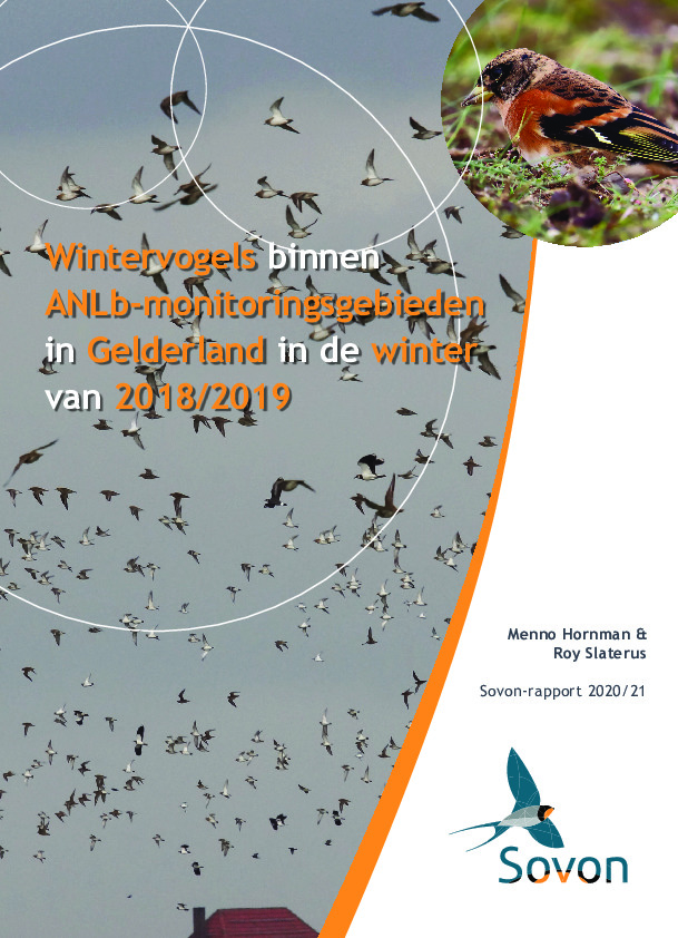 Omslag Wintervogels binnen ANLb-monitoringsgebieden in Gelderland in de winter van 2018/2019