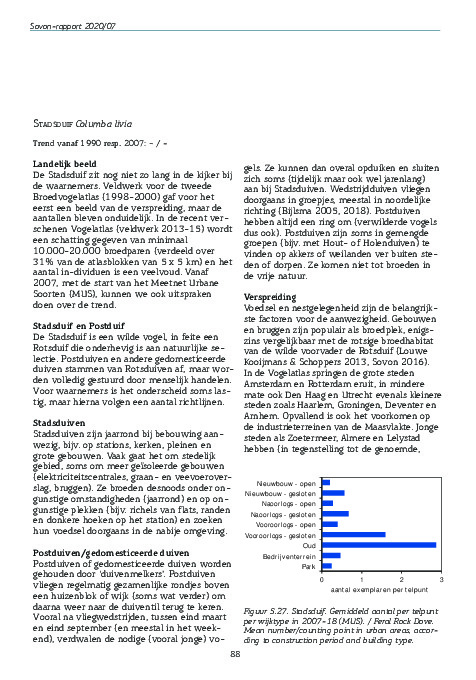 Omslag Stadsduif in het Broedvogelrapport 2018