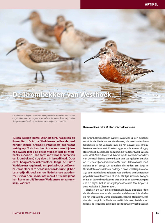 Omslag De 'krombekken' van Westhoek