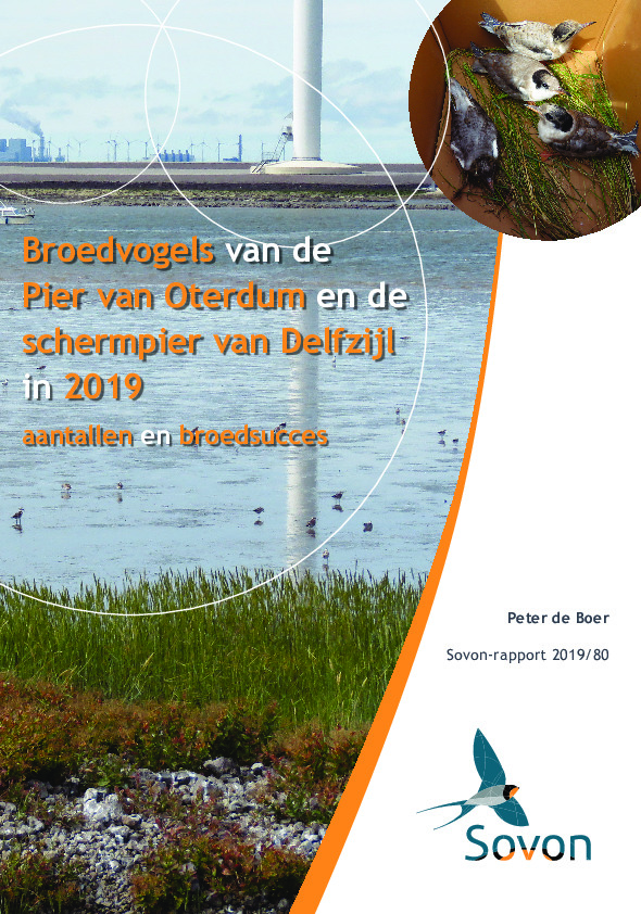 Omslag Broedvogels van de Pier van Oterdum en de schermpier van Delfzijl in 2019: aantallen en broedsucces