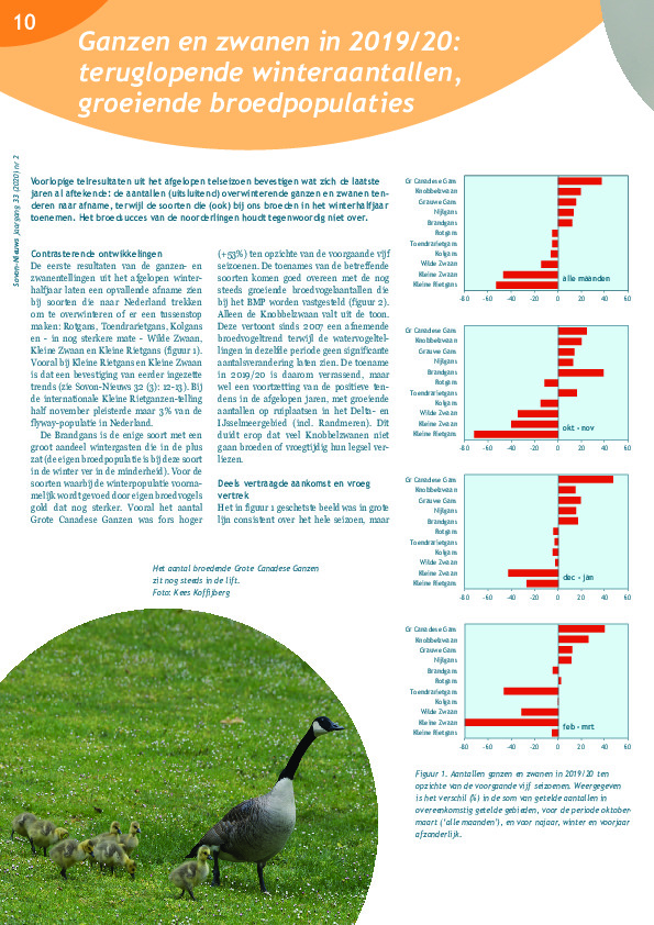 Omslag Ganzen en zwanen in 2019/20: teruglopende winteraantallen, groeiende broedpopulaties
