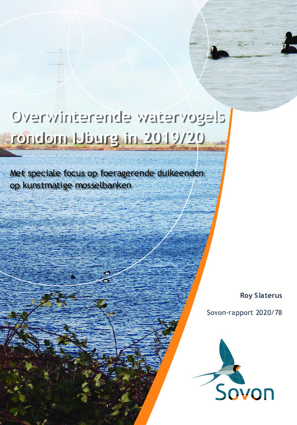 Omslag Overwinterende watervogels rondom IJburg in 2019/20