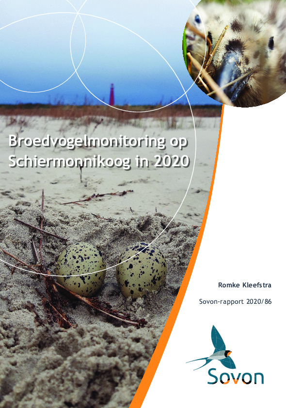 Omslag Broedvogelmonitoring op Schiermonnikoog in 2020