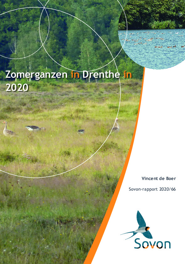 Omslag Zomerganzen in Drenthe in 2020