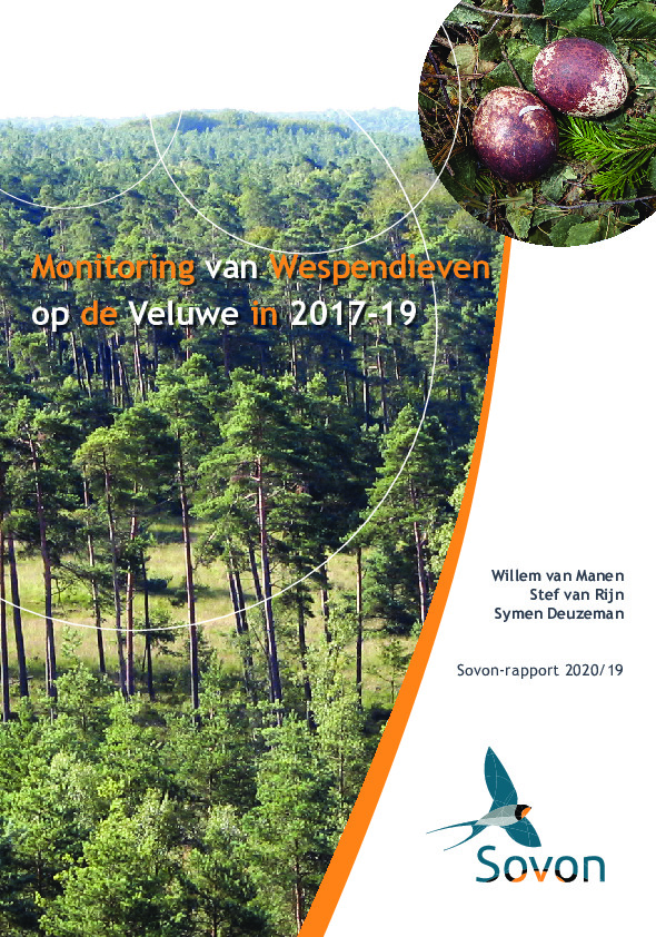 Omslag Monitoring van Wespendieven op de Veluwe in 2017-2019