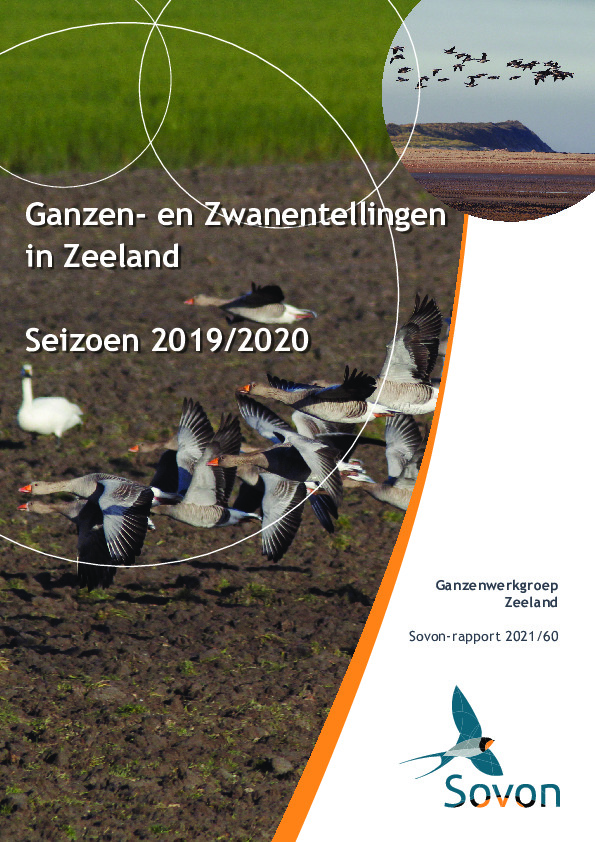 Omslag Ganzen- en Zwanentellingen in Zeeland Seizoen 2019/2020