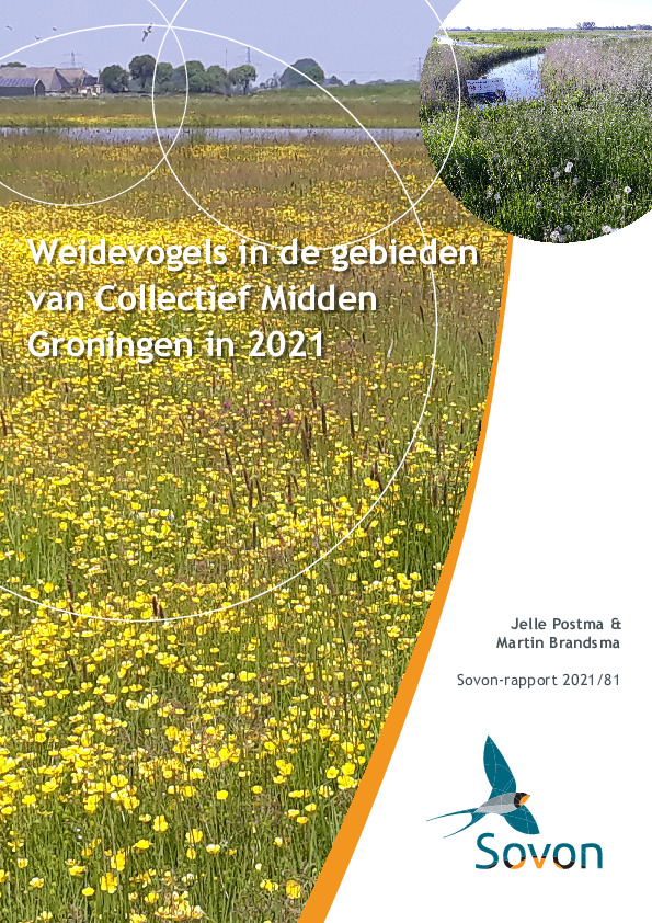 Omslag Weidevogels in de gebieden van Collectief Midden-Groningen in 2021
