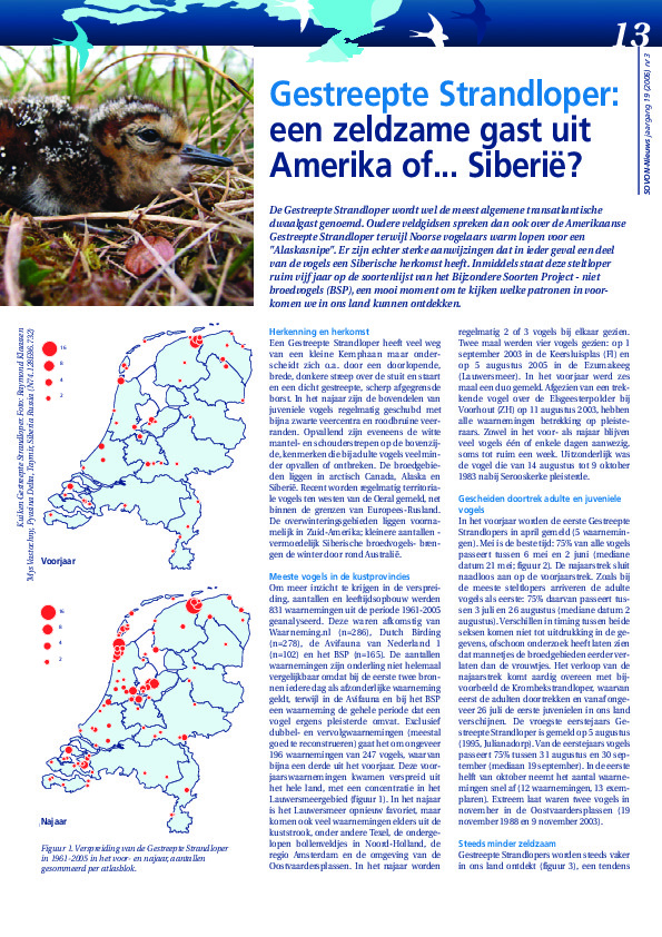 Omslag Gestreepte Strandloper: een zeldzame gast uit Amerika of Siberie?