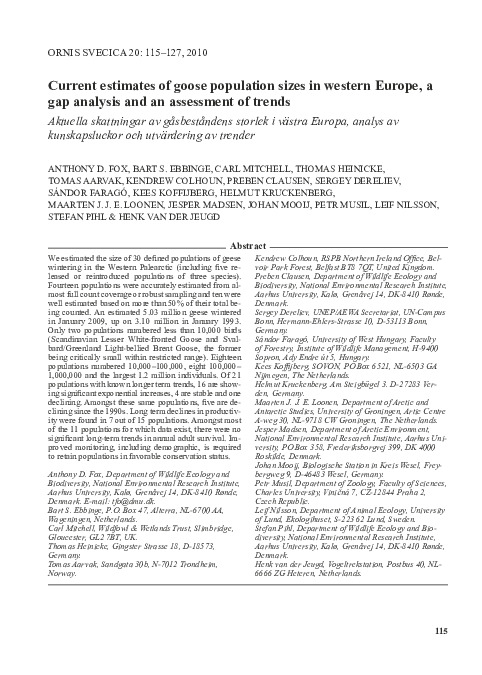 Omslag Current estimates of goose populations