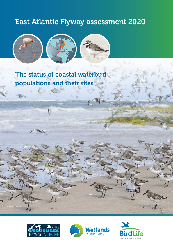 Omslag East Atlantic Flyway Assessment 2020.The status of coastal waterbird populations and their sites.