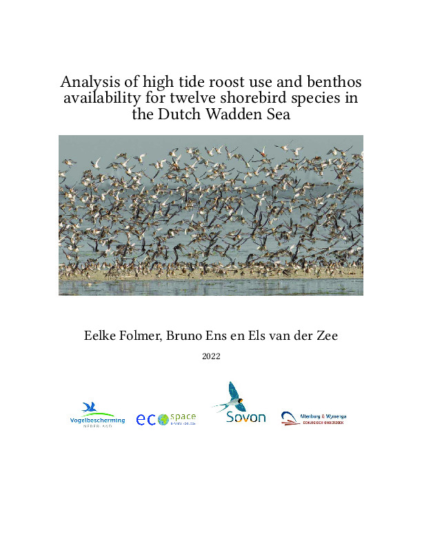 Omslag Analysis of high tide roost use and benthos availability for twelve shorebird species in the Dutch Wadden Sea