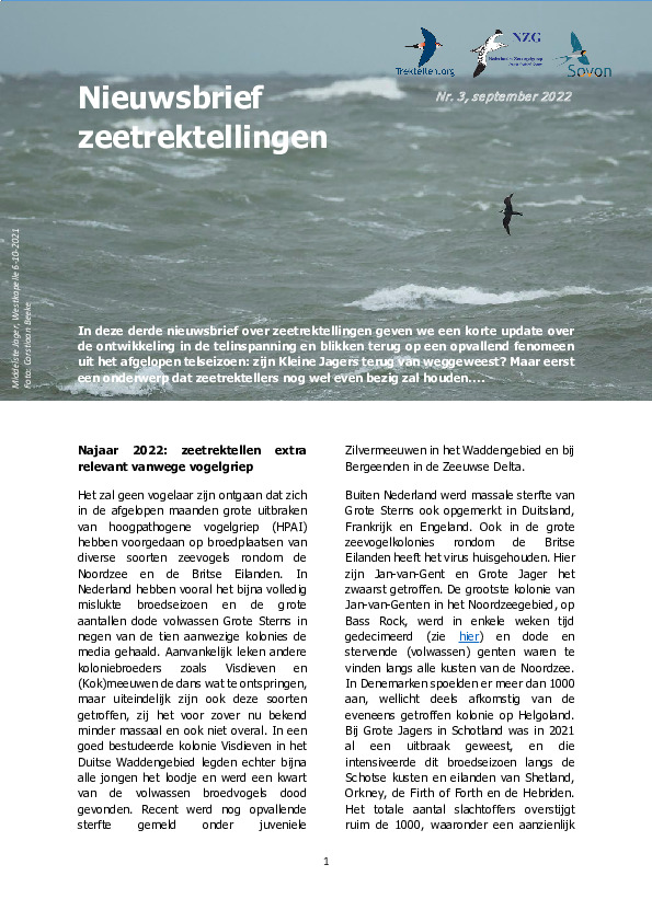 Omslag Nieuwsbrief zeetrektellingen nr 3 - sept 2022