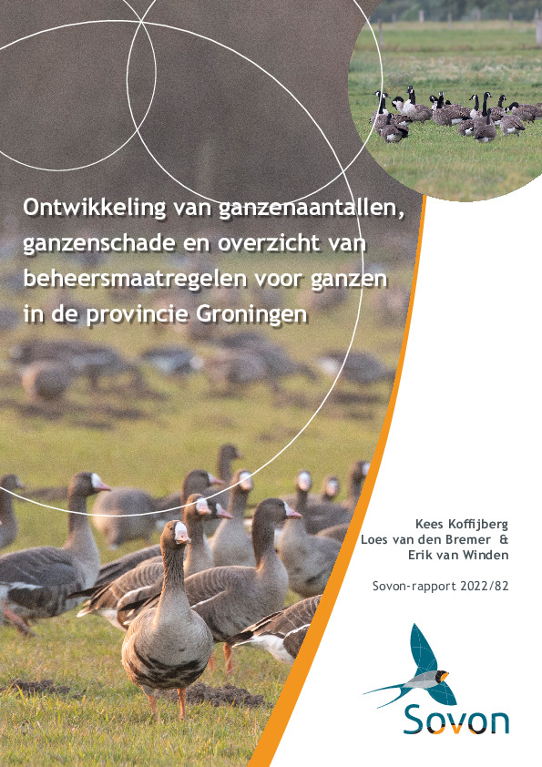 Omslag Ontwikkeling van ganzenaantallen, ganzenschade en overzicht van beheersmaatregelen voor ganzen in de provincie Groningen