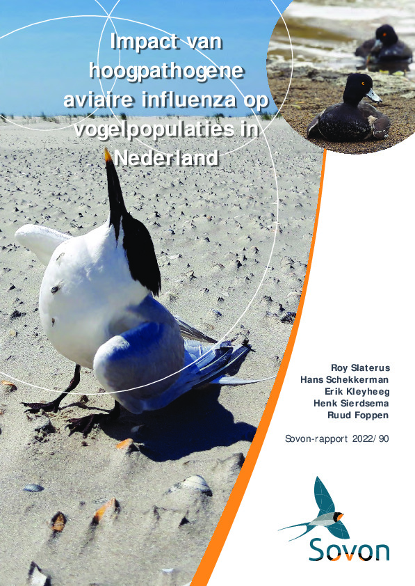 Omslag Impact van hoogpathogene aviaire influenza op vogelpopulaties in Nederland