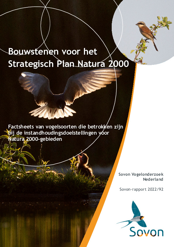 Omslag Bouwstenen voor het Strategisch Plan Natura 2000: Factsheets van vogelsoorten die betrokken zijn bij de instandhoudings-doelstellingen voor Natura 2000-gebieden