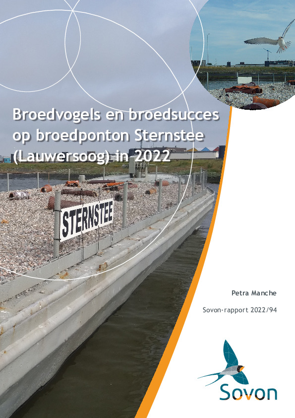 Omslag Broedvogels en broedsucces op broedponton Sternstee (Lauwersoog) in 2022
