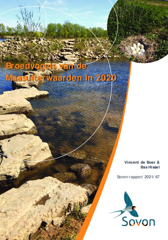Omslag Broedvogelinventarisatie Maasuiterwaarden in 2020