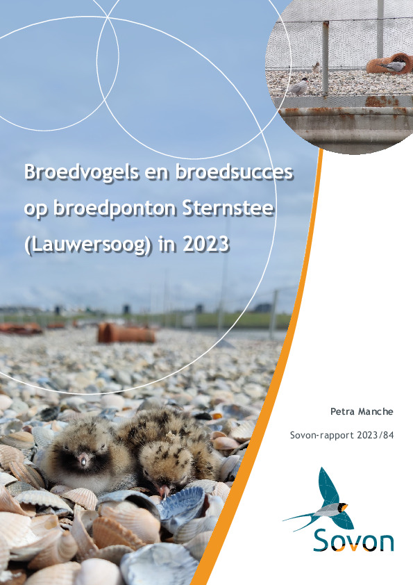 Omslag Broedvogels en broedsucces op   broedponton Sternstee (Lauwersoog) in 2023