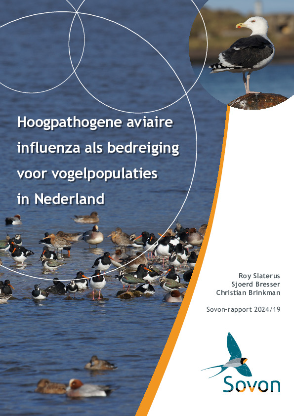 Omslag Hoogpathogene aviaire influenza als bedreiging voor vogelpopulaties in Nederland