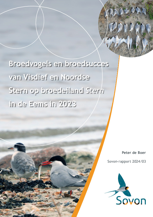 Omslag Broedvogels en broedsucces van Visdief en Noordse Stern op broedeiland Stern in de Eems in 2023