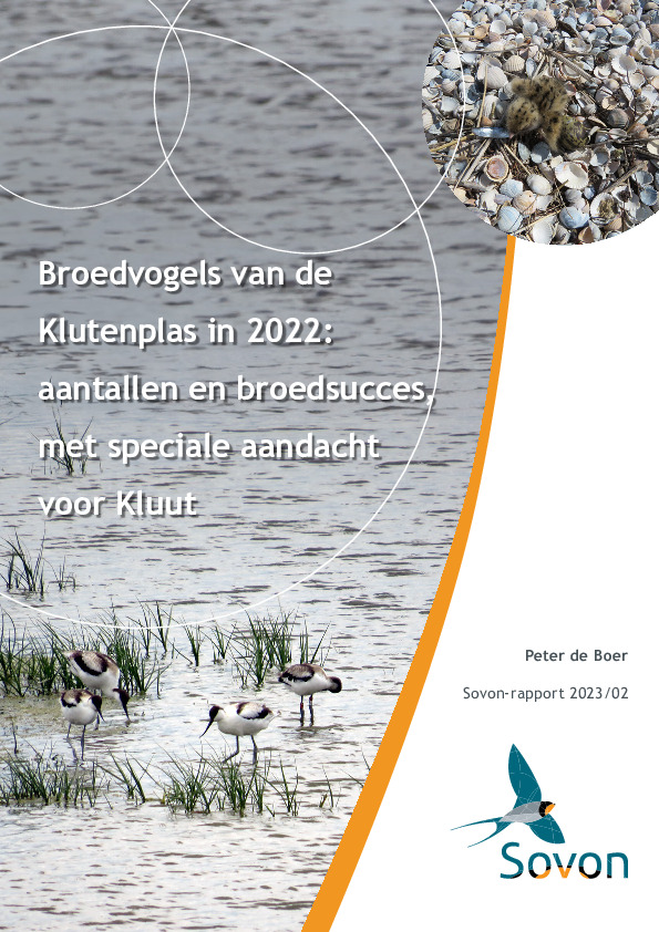 Omslag Broedvogels van de Klutenplas in 2022: aantallen en broedsucces, met speciale aandacht voor Kluut
