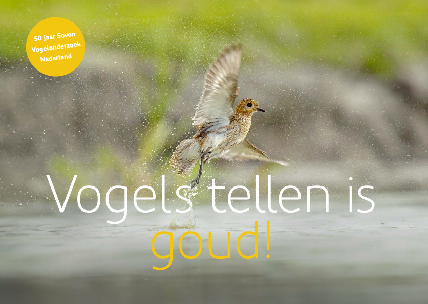 Omslag Vogels tellen is goud!