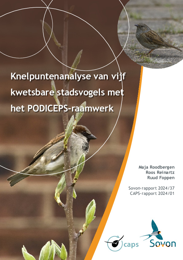 Omslag Knelpuntenanalyse van vijf kwetsbare stadsvogels met het PODICEPS-raamwerk