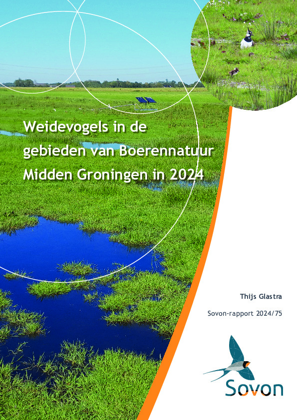 Omslag Weidevogels in de gebieden van Boerennatuur Midden Groningen in 2024