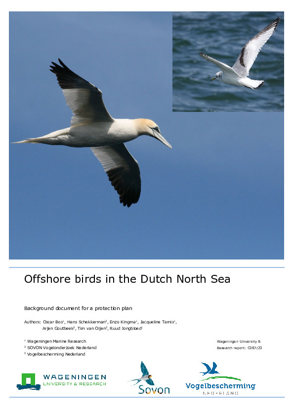 Omslag Offshore birds in the Dutch North Sea