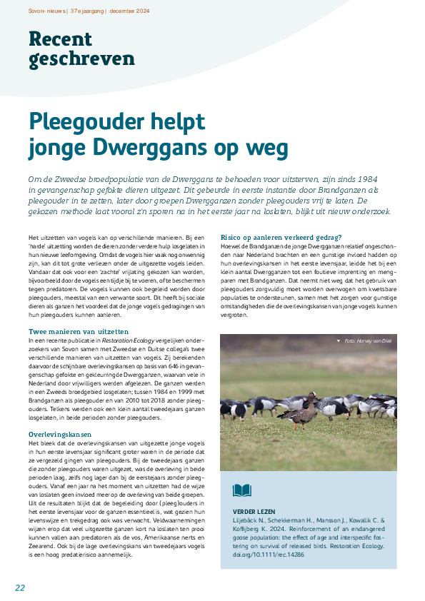 Omslag Pleegouder helpt jonge Dwerggans op weg