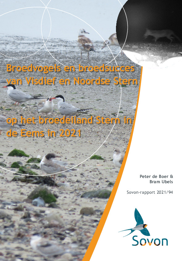 Omslag Broedvogels en broedsucces van Visdief en Noordse Stern op het broedeiland Stern in de Eems in 2021