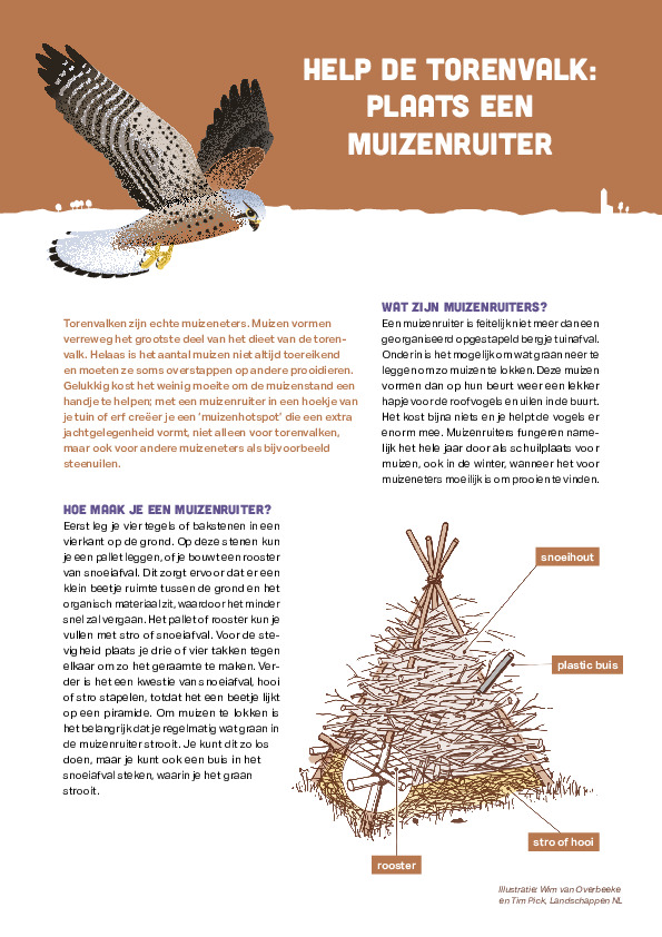 Omslag Factsheet: plaats een muizenruiter