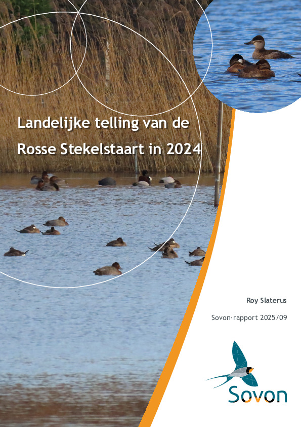 Omslag Landelijke telling van de Rosse Stekelstaart in 2024