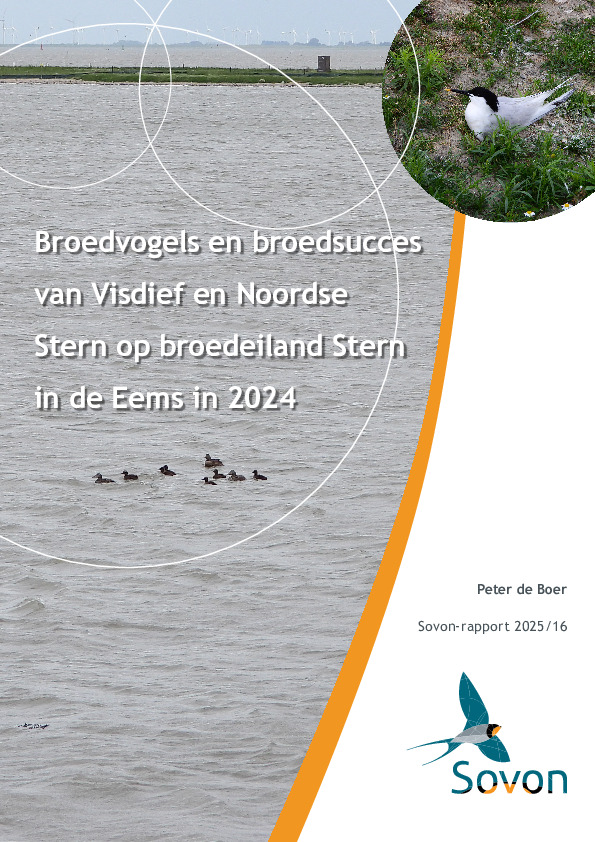 Omslag Broedvogels en broedsucces van Visdief en Noordse Stern op broedeiland Stern in de Eems in 2024