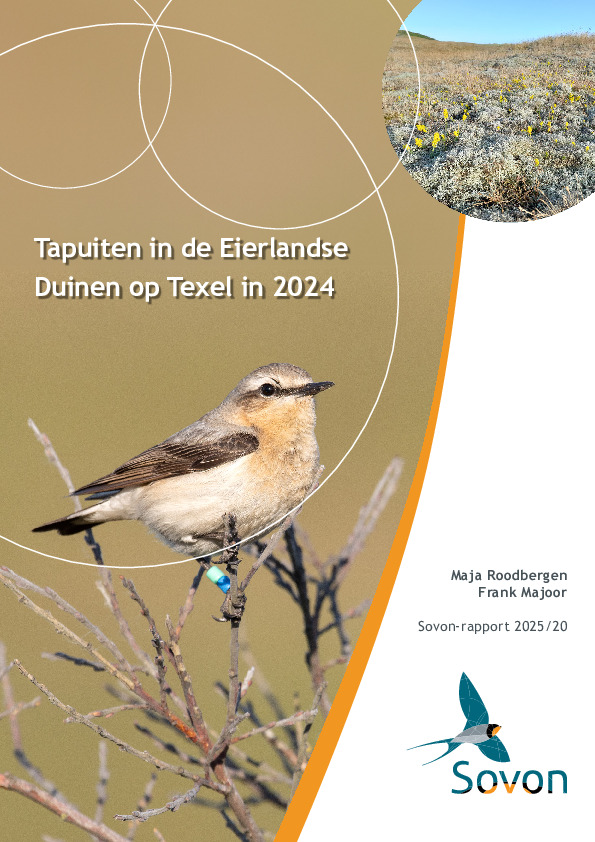 Omslag Tapuiten in de Eierlandse Duinen op Texel in 2024